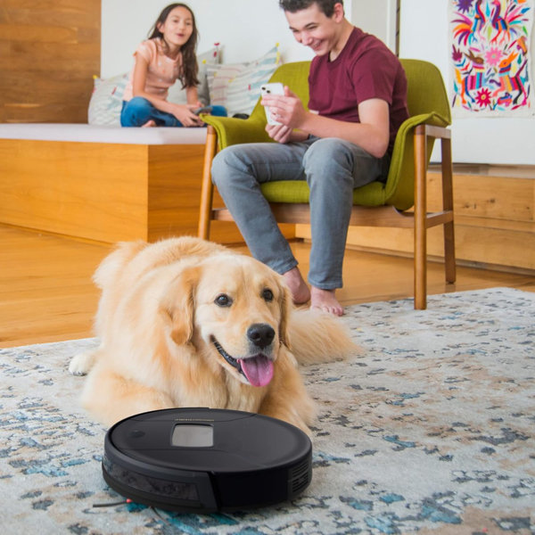 Aristell Pethair Vision Plus Robot Vacuum Cleaner With Wet/Dry Mop